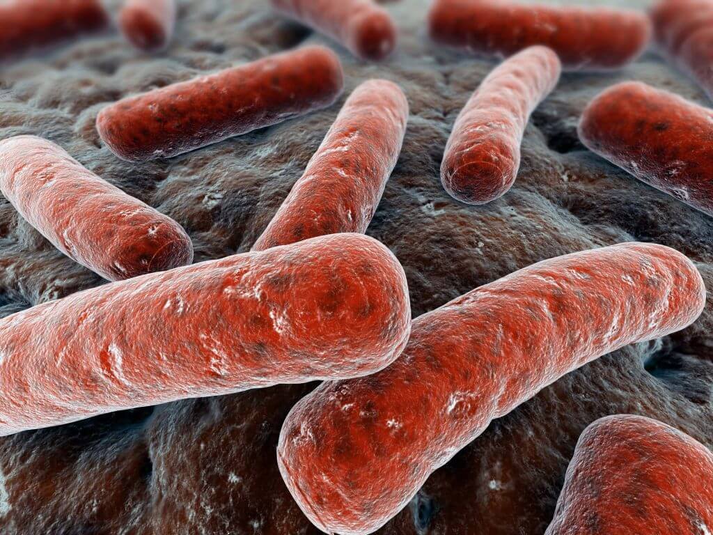 Mycobacterium_tuberculosis_14313982_1